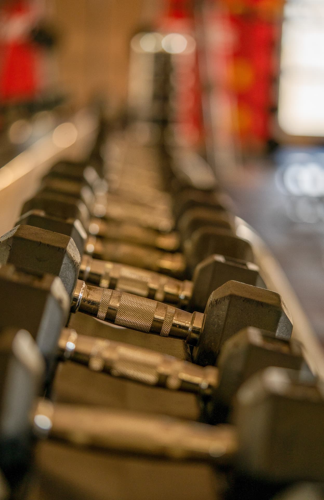 A coach guiding a member through a dumbbell lift